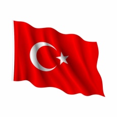 Bayrak 100*150 cm